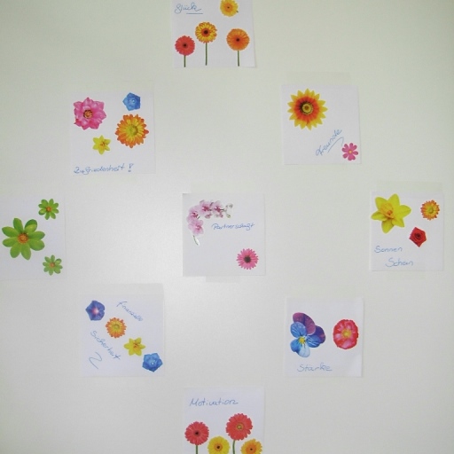 Vorträge / Workshops